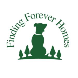 finding forever homes